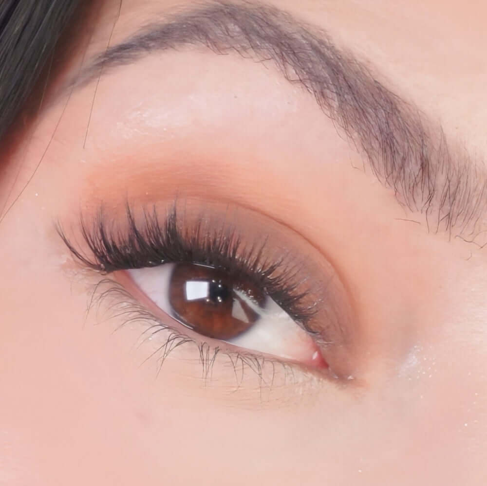 Compacte Oogschaduw Mineralissima - Ilse de Beaute