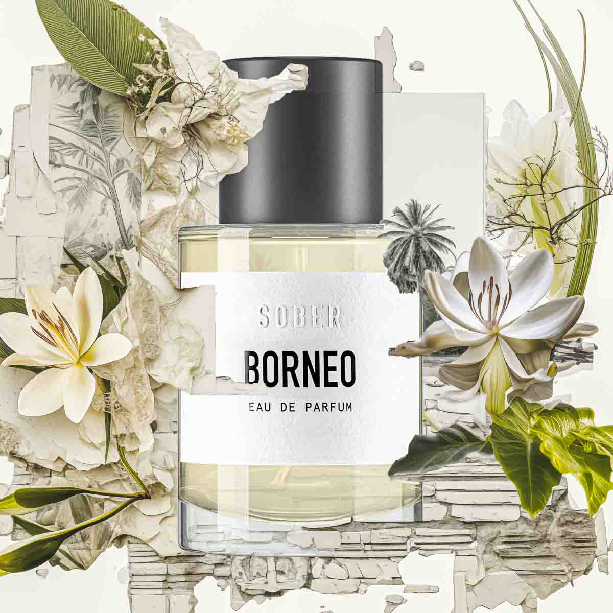 Borneo Eau de Parfum Sober Berlin
