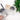 Magic Eyebrow Stencils – perfecte wenkbrauwen in enkele seconden - Ilse de Beaute