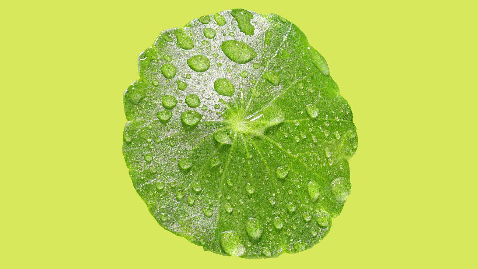 Acid Bloom - Balancerend Essence - Ilse de Beaute