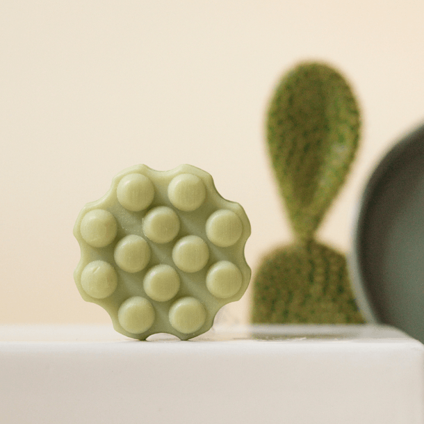 Wondr - Shampoo Bar Greasy Hair Refreshing Cactus - Ilse de Beaute