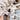 Arctic Beauty Oil - Gezichtsolie voor droge huid - Flow Cosmetics - Ilse de Beaute