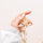 Gemanicuurde hand met bloem