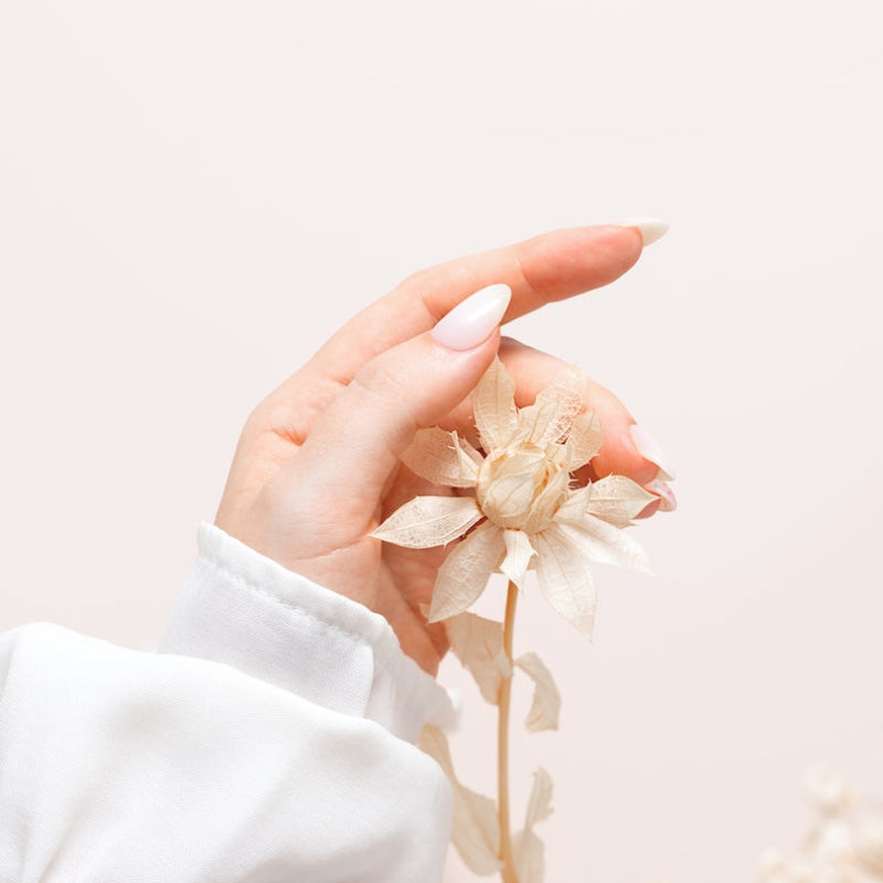 Gemanicuurde hand met bloem
